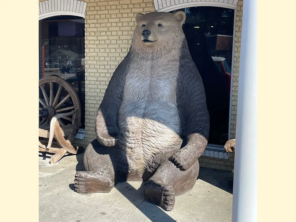 wallaces gallery image